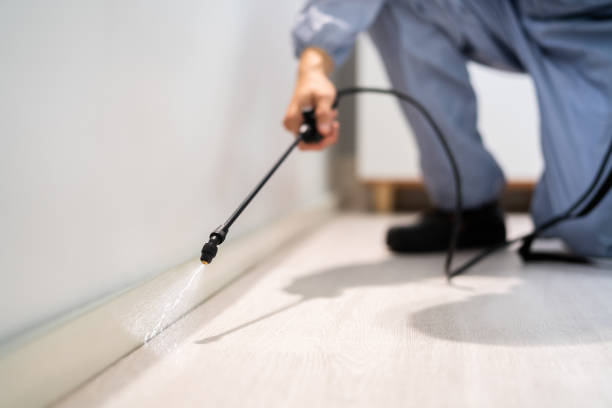 Licensed Pest Control service in Julesburg, CO - Show Me Pest Control
