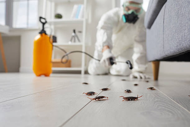 Commercial Kitchen Cockroach Control in Julesburg